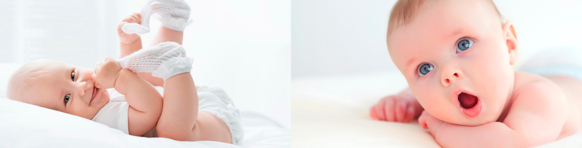 banner Cupuacu